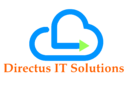 Directus_v2