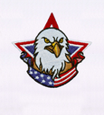 Us_pride_bald_eagle_embroidery_design